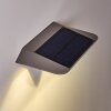 Lampa solarna Camden LED Szary, 1-punktowy, Czujnik ruchu