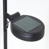 Rovinj Lampa solarna LED Antracytowy, Miedź, 1-punktowy