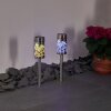 Gorizia Lampa solarna LED Stal nierdzewna, 2-punktowe, Zmieniacz kolorów