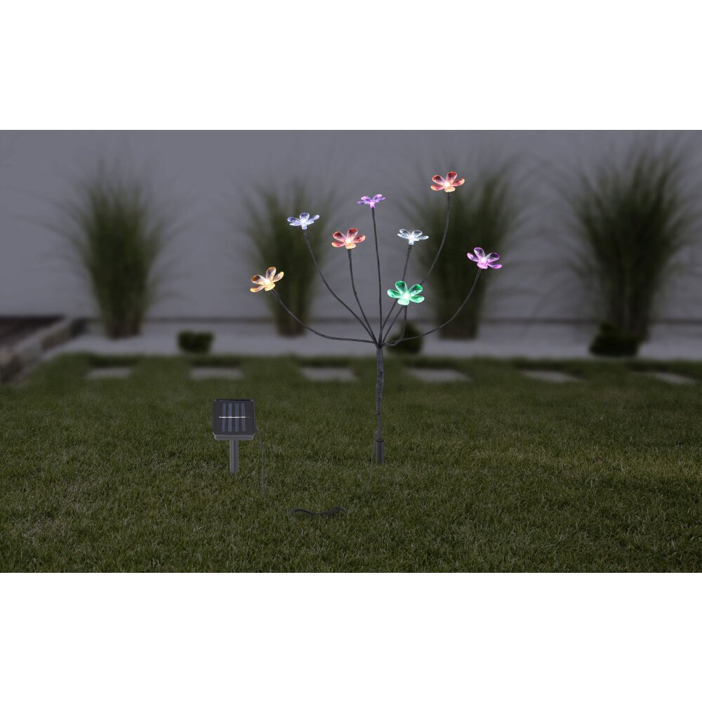 Globo Lampa solarna LED Czarny, 8-punktowe main product photo