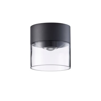 LCD 5068 Lampa Sufitowa zewnętrzna LED Czarny, 1-punktowy