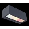 Lutec GEMINI Zewnętrzny kinkiet LED Antracytowy, 2-punktowe, Zmieniacz kolorów