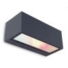 Lutec GEMINI Zewnętrzny kinkiet LED Antracytowy, 2-punktowe, Zmieniacz kolorów