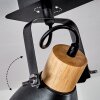 Elm Lampa Sufitowa Antracytowy, Jasne drewno, 2-punktowe