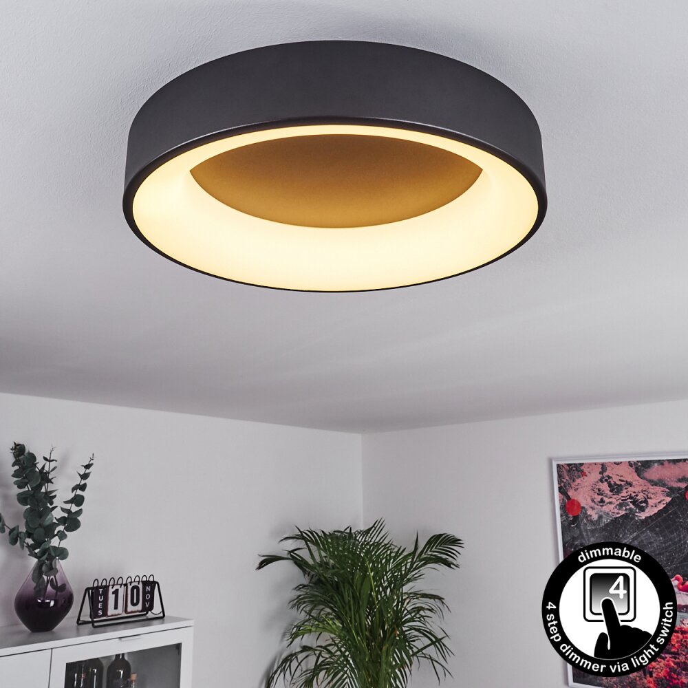 Pine Lampa Sufitowa LED Czarny, 1-punktowy main product photo