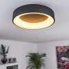 Pine Lampa Sufitowa LED Czarny, 1-punktowy