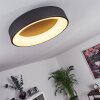 Pine Lampa Sufitowa LED Czarny, 1-punktowy