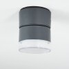 Papagayos Lampa Sufitowa zewnętrzna LED Antracytowy, Biały, 1-punktowy, Zmieniacz kolorów