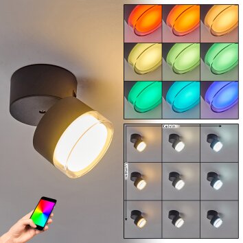 Papagayos Lampa Sufitowa zewnętrzna LED Antracytowy, Biały, 1-punktowy, Zmieniacz kolorów