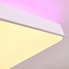 Batamoto Lampa Sufitowa LED Biały, 2-punktowe, Zdalne sterowanie, Zmieniacz kolorów