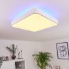 Batamoto Lampa Sufitowa LED Biały, 2-punktowe, Zdalne sterowanie, Zmieniacz kolorów