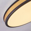 Kirtland Lampa Sufitowa LED Złoty, Czarny, 1-punktowy