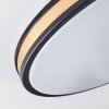 Kirtland Lampa Sufitowa LED Złoty, Czarny, 1-punktowy