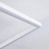 Pourao Lampa Sufitowa LED Biały, 1-punktowy