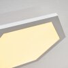 Fanebal Lampa Sufitowa LED Biały, 1-punktowy