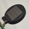 Taft Lampa solarna LED W kolorze bursztynu, Zielony, Miedź, 1-punktowy