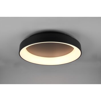 Trio Girona Lampa Sufitowa LED Czarny, 1-punktowy, Zdalne sterowanie