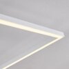 Moya Lampa Sufitowa LED Biały, 1-punktowy