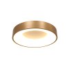 Steinhauer Ringlede Lampa Sufitowa Złoty, Biały, 1-punktowy