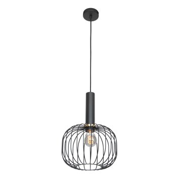 Steinhauer Aureole Lampa Wisząca Czarny, 1-punktowy