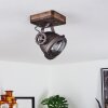 Herford Lampa Sufitowa Brązowy, Przezroczysty, 1-punktowy