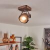 Herford Lampa Sufitowa Brązowy, Przezroczysty, 1-punktowy