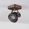 Herford Lampa Sufitowa Brązowy, Ciemne drewno, 1-punktowy