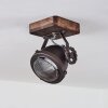 Herford Lampa Sufitowa Brązowy, Przezroczysty, 1-punktowy