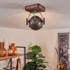 Herford Lampa Sufitowa Brązowy, Przezroczysty, 1-punktowy