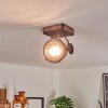 Herford Lampa Sufitowa Brązowy, Przezroczysty, 1-punktowy