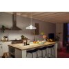 Philips HUE E27 15,5 Wat 2700 Kelwinów 1600 Lumenów