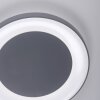 Leuchten Direkt ANIKA Lampa Sufitowa LED antracytowy, 1-punktowy, Zdalne sterowanie