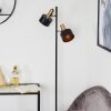 Pretoria Lampa Stojąca Złoty, Czarny, 2-punktowe
