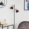 Pretoria Lampa Stojąca Złoty, Czarny, 2-punktowe