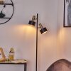 Pretoria Lampa Stojąca Złoty, Czarny, 2-punktowe