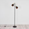 Pretoria Lampa Stojąca Złoty, Czarny, 2-punktowe
