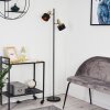 Pretoria Lampa Stojąca Złoty, Czarny, 2-punktowe
