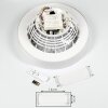 Moli wentylator sufitowy LED Biały, 1-punktowy, Zdalne sterowanie