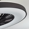 Qualiano wentylator sufitowy LED Czarny, Biały, 1-punktowy, Zdalne sterowanie