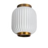 Lucide GOSSE Lampa Sufitowa czarny, 1-punktowy