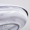Riccione wentylator sufitowy LED Biały, 1-punktowy, Zdalne sterowanie, Zmieniacz kolorów