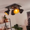 Hora Lampa Sufitowa Czarny, 4-punktowe