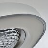 Penon wentylator sufitowy LED Srebrny, 1-punktowy, Zdalne sterowanie