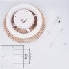 Rivarotta wentylator sufitowy LED Biały, 1-punktowy, Zdalne sterowanie