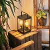 Sciolze Lampa solarna Czarny, Przezroczysty, 2-punktowe