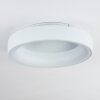 Pine Lampa Sufitowa LED Biały, 1-punktowy