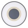 Globo NORA Lampa Sufitowa LED Antracytowy, 1-punktowy, Zdalne sterowanie