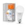 LEDVANCE SMART+ WiFi E27 9W 2700-6500 Kelwinów 806 Lumenów