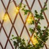 Trygsland listwa solarna LED Brązowy, 50-punktowe