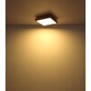 Globo DORO Lampa Sufitowa LED Wygląd drewna, Czarny, 1-punktowy